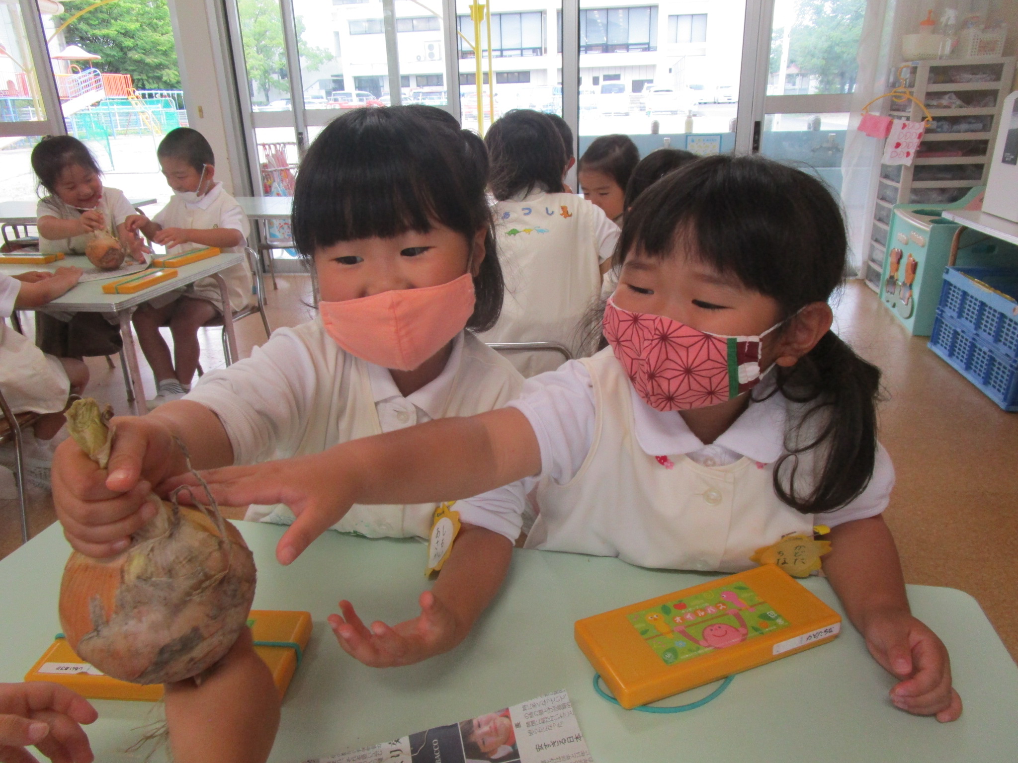 野菜のデッサン 年中児 聖カタリナ大学短期大学部附属幼稚園 愛媛県松山市北条 カトリック