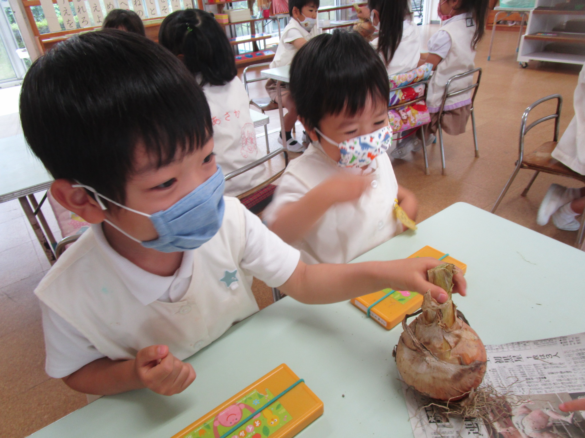 野菜のデッサン 年中児 聖カタリナ大学短期大学部附属幼稚園 愛媛県松山市北条 カトリック