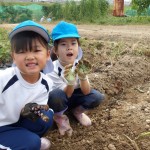 KODAK Digital Still Camera