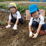 KODAK Digital Still Camera