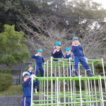 KODAK Digital Still Camera