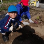 KODAK Digital Still Camera