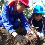 KODAK Digital Still Camera