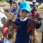 KODAK Digital Still Camera