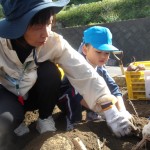 KODAK Digital Still Camera