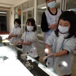 KODAK Digital Still Camera