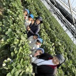 お別れ遠足（全園児）