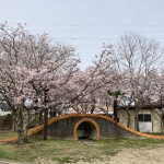 令和8年度　第56回入園式