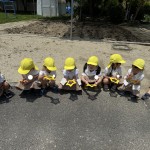 IMG_1452 (2)