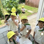 IMG_1461 (2)
